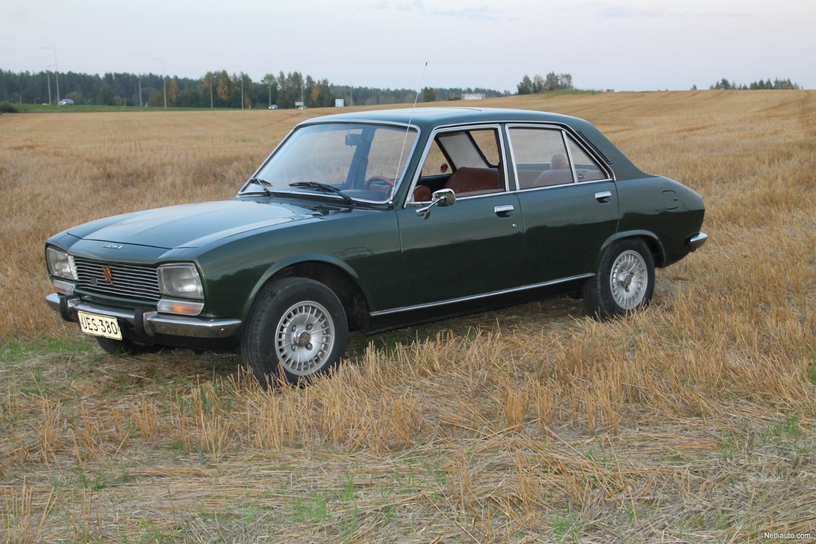 Peugeot 504