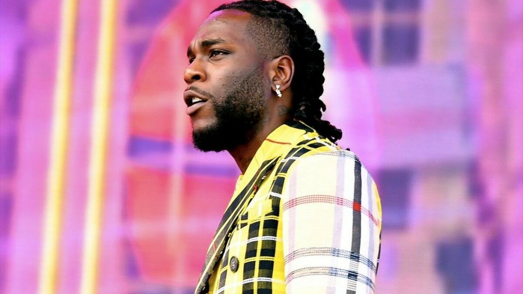 burna boy net worth