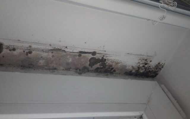 Mold