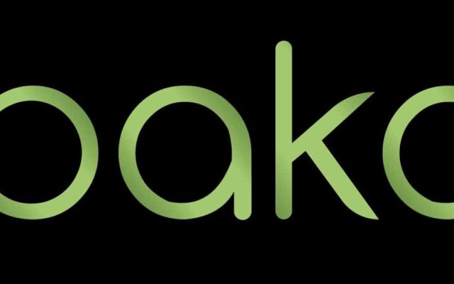 IbakaTV