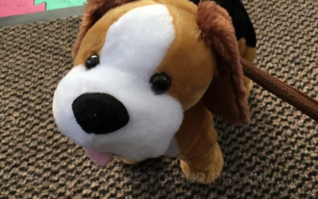 Walking Dog Toy