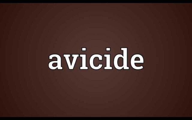 Avicides