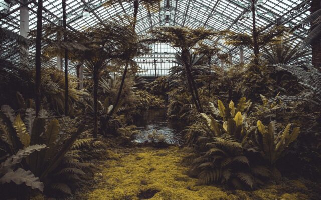 Greenhouse