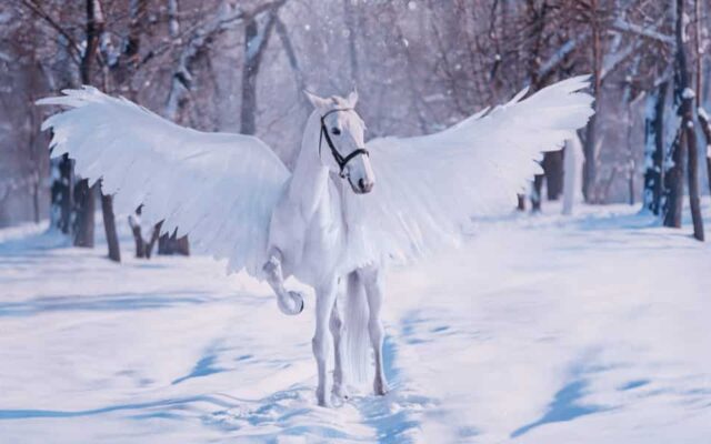 Mythological Horses