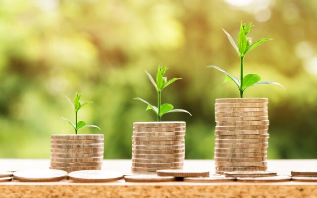How Much Can You Get for a Title Loan in Texas