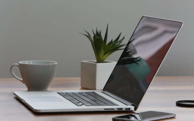 Best Plants for Office Space