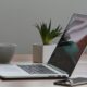 Best Plants for Office Space