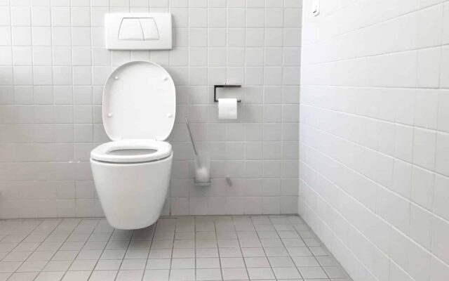What Is a Tankless Toilet