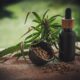 Are CBD Gummies Good for Sex?